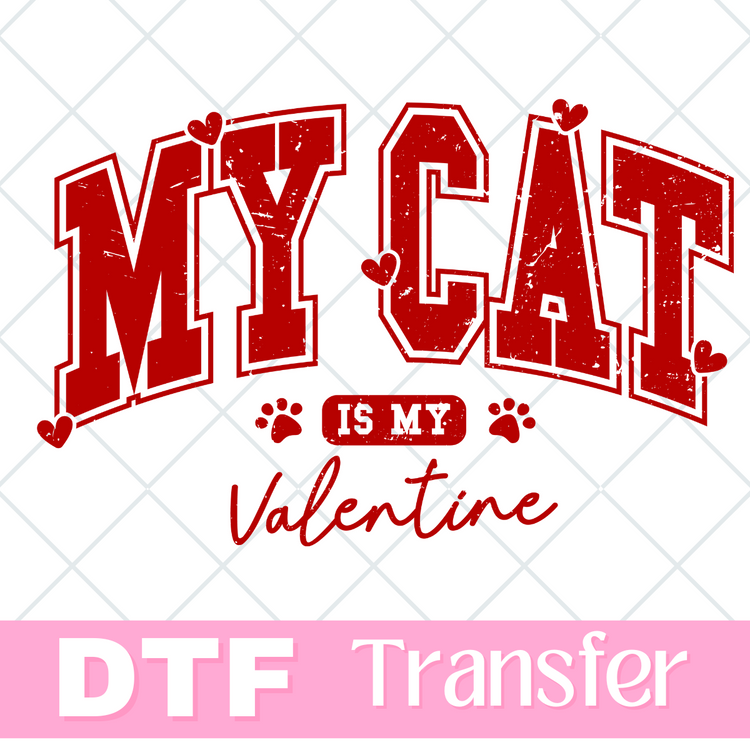 My cat is my valentine