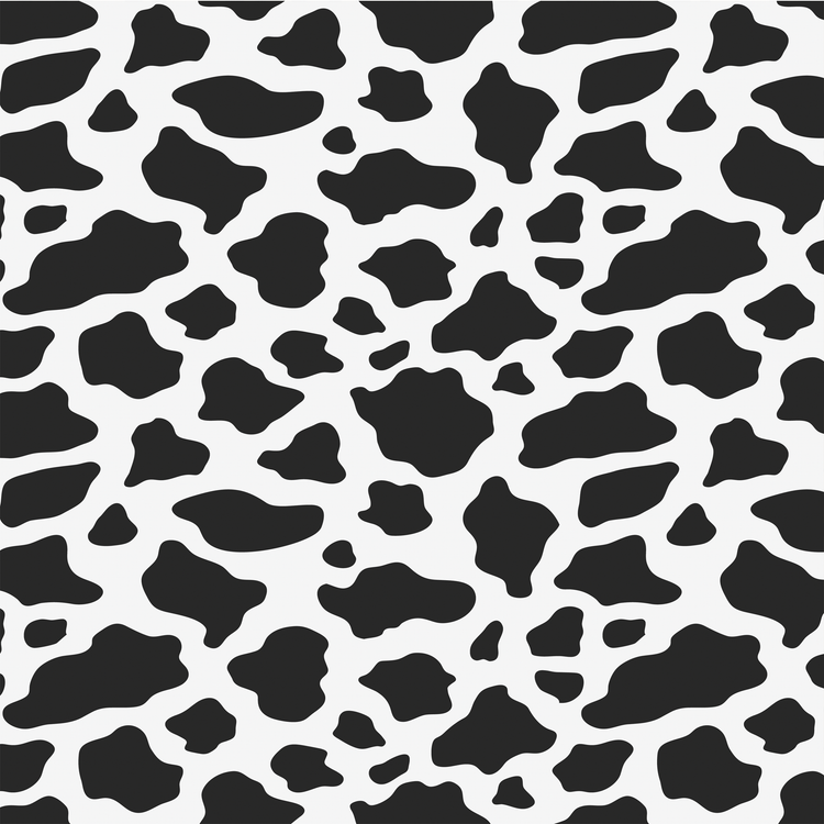 Black Cow Print