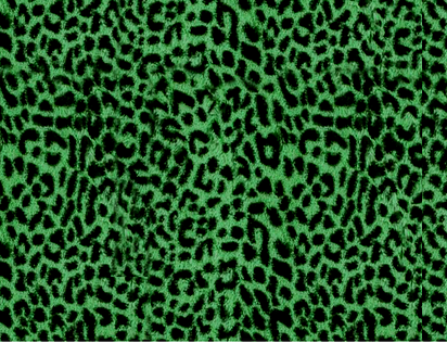 Green Cheetah – 618 area vinyl