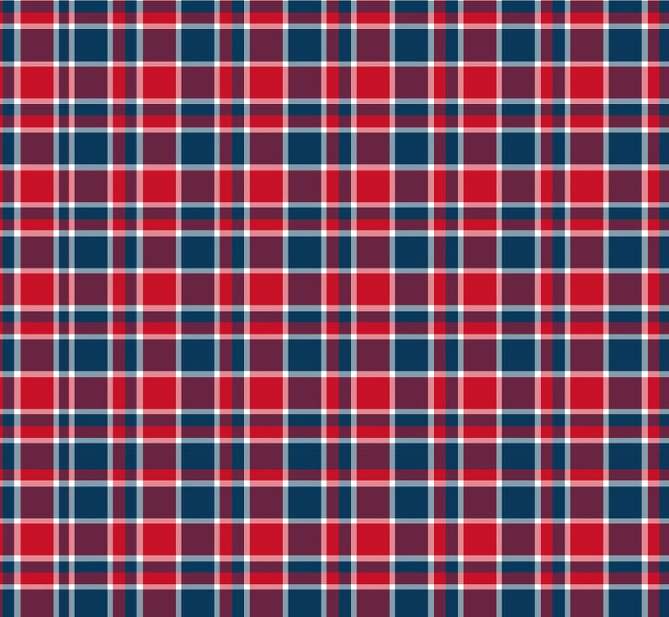 Red and navy plaid