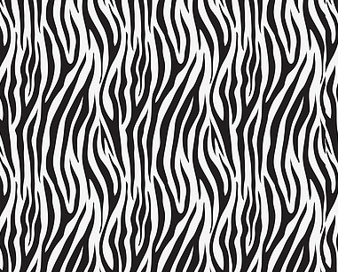 Rainbow zebra HTV or adhesive pattern