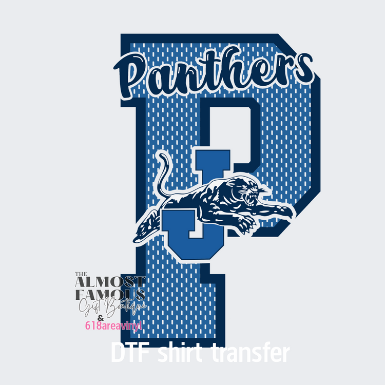 Panthers varsity mesh