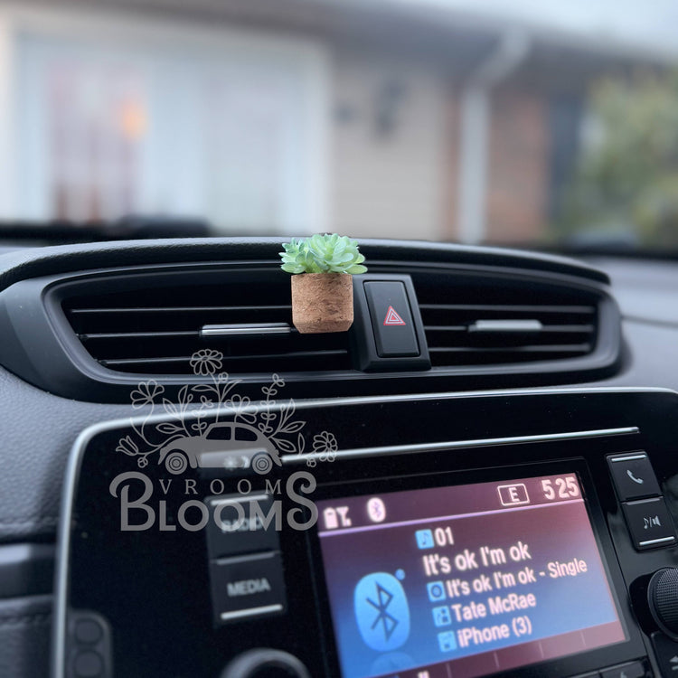 Aqua Succulent Vent Clip Car Air Freshener Diffuser Reusable