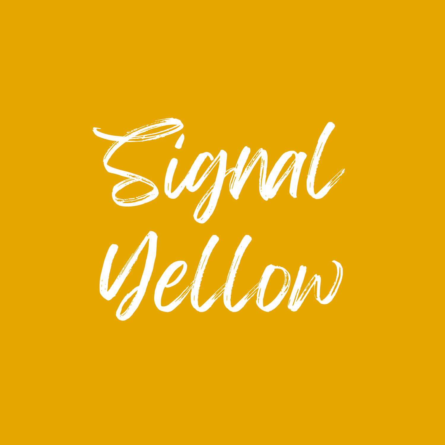 019 Signal Yellow Adhesive Vinyl | Oracal 651