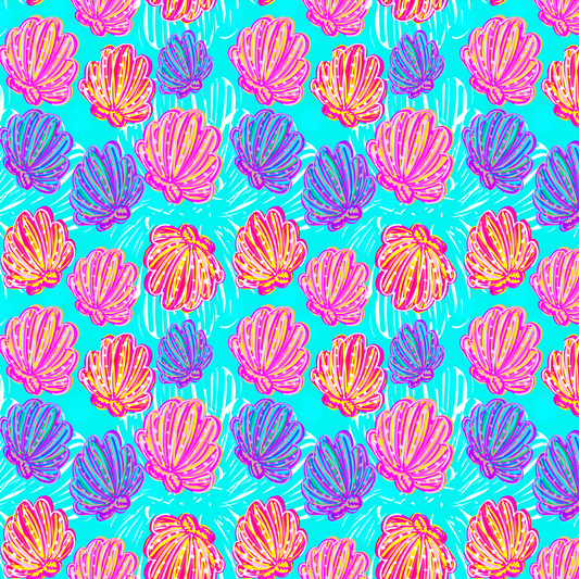 Colorful shells
