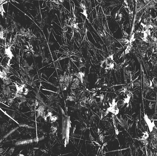 Grayscale Camo